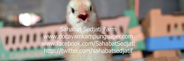 ssfjoper's profile banner image
