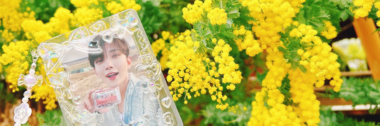 さあや banner