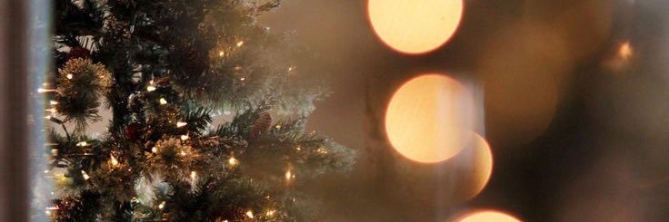 teddy_bearbi's profile banner image