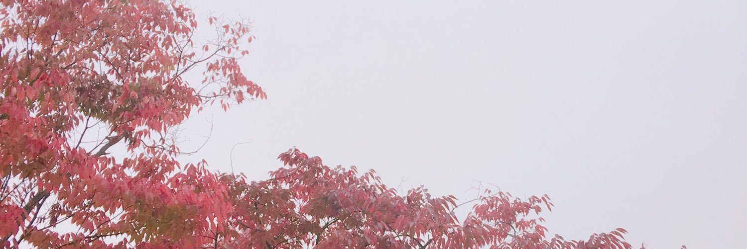 amandawooooo's profile banner image