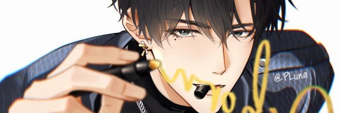 Plupluna's profile banner image
