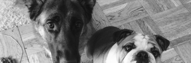Ida Härmä Ortio banner