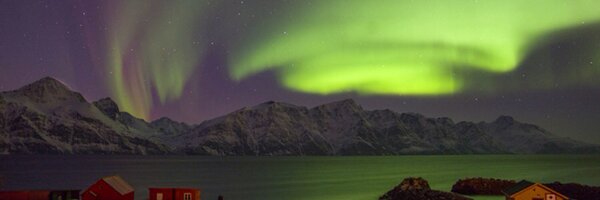 abiprayadi Profile Banner