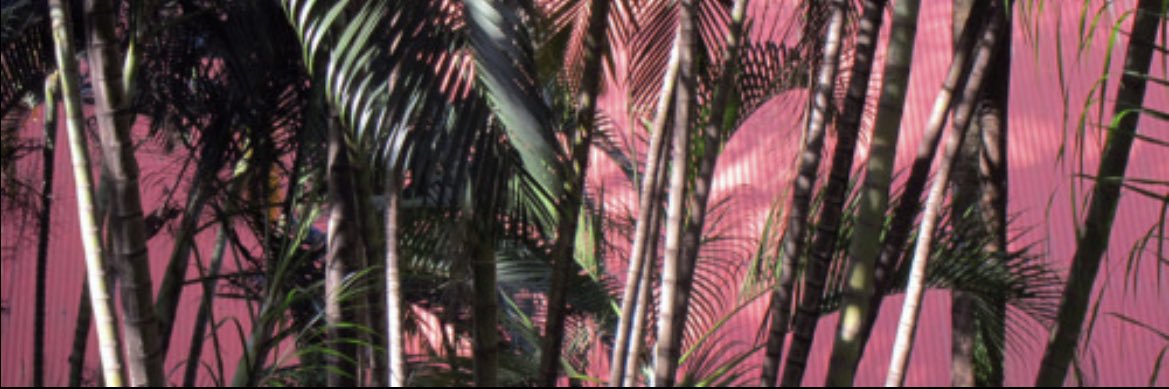 jmariemango's profile banner image