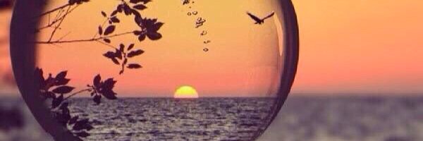 sdd3643's profile banner image