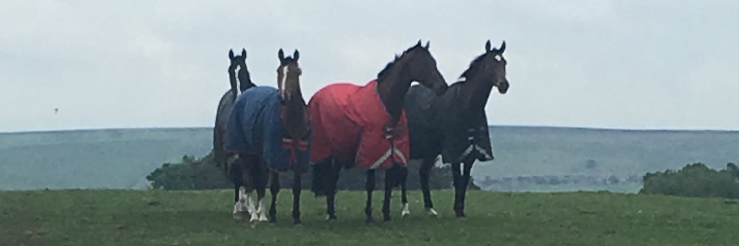 cathwalton's profile banner image