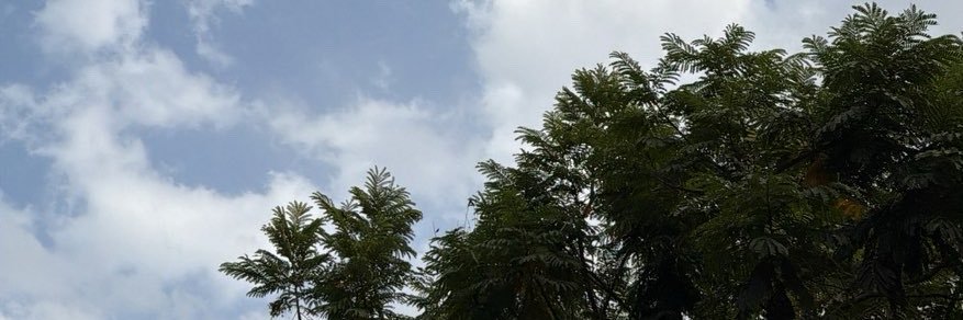 ___sjaay's profile banner image