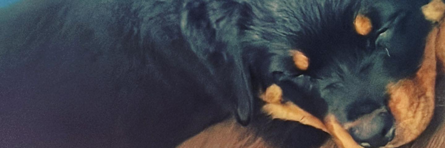 Mikey Lee James 🇬🇧 banner