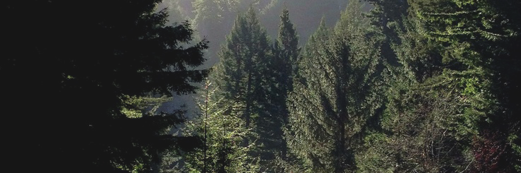 StrangeHRPG's profile banner image