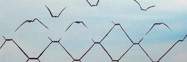 سُميـة.. banner