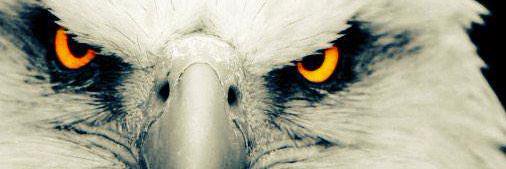 danielpanku1903's profile banner image