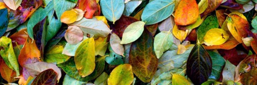 Mariajbrigas's profile banner image