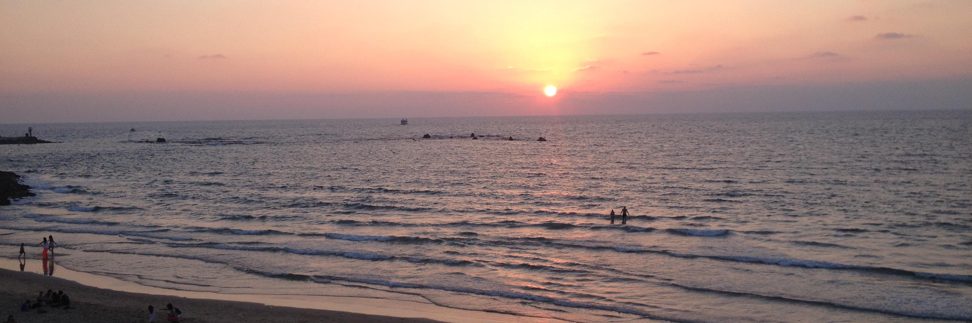 Casey Davison OBrien banner