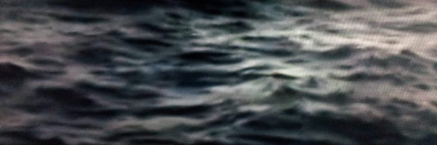 StevenGeido's profile banner image