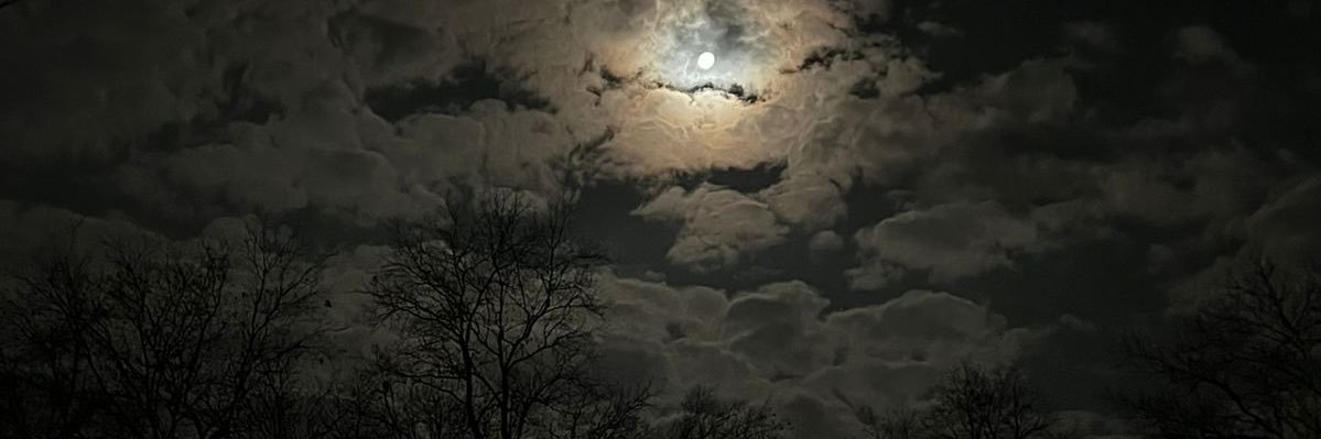 Sarabwad's profile banner image