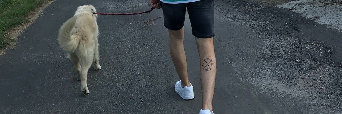 moisesmc__'s profile banner image