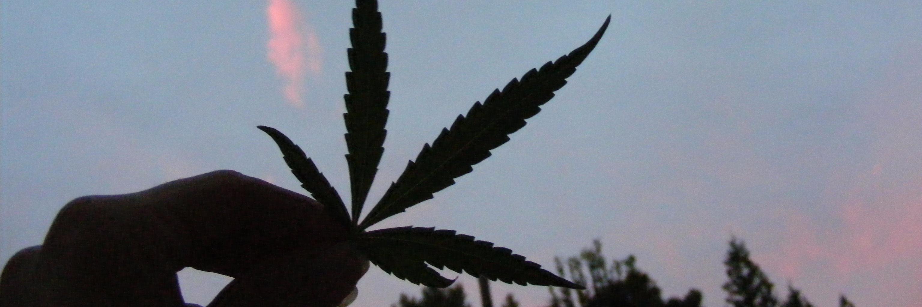 bcn_green's profile banner image