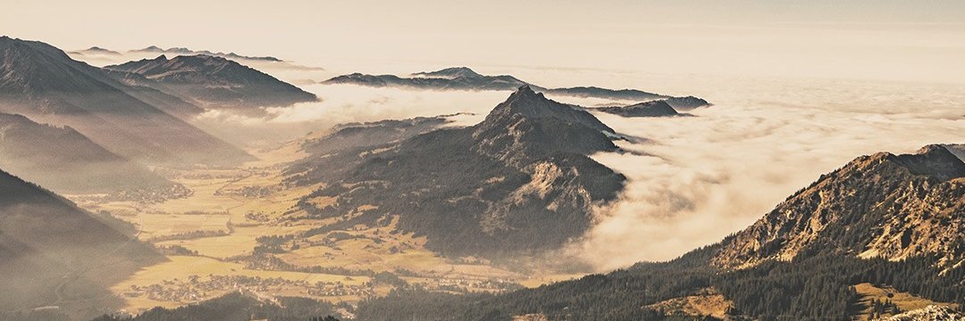 Ronny | Bitcoinist.ch banner