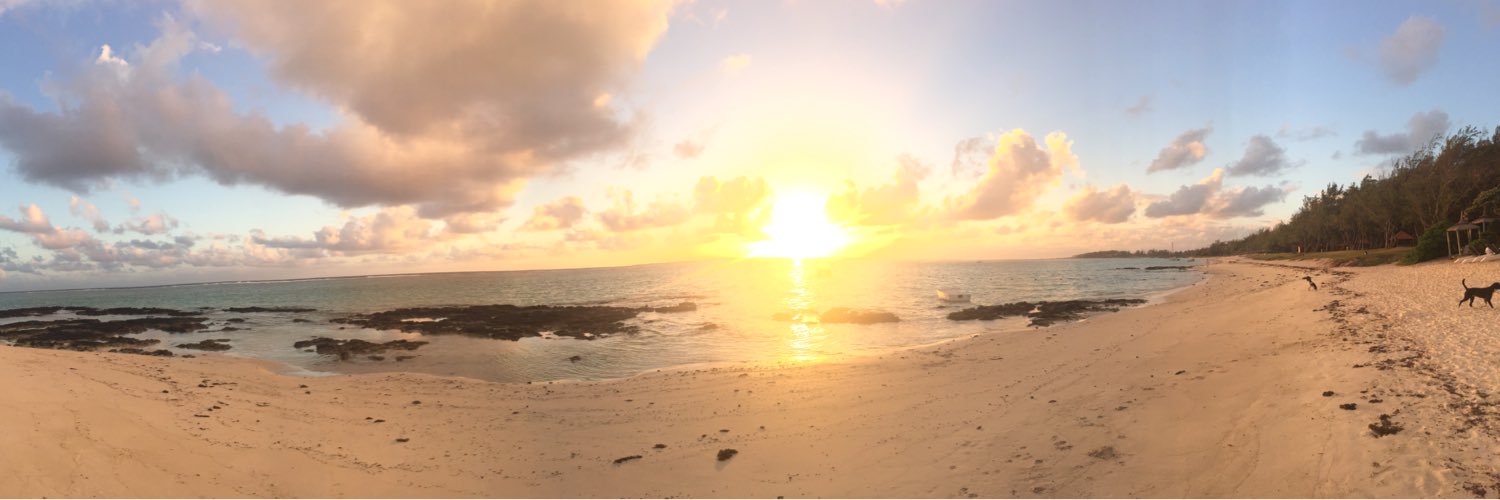 GibsonStacey's profile banner image