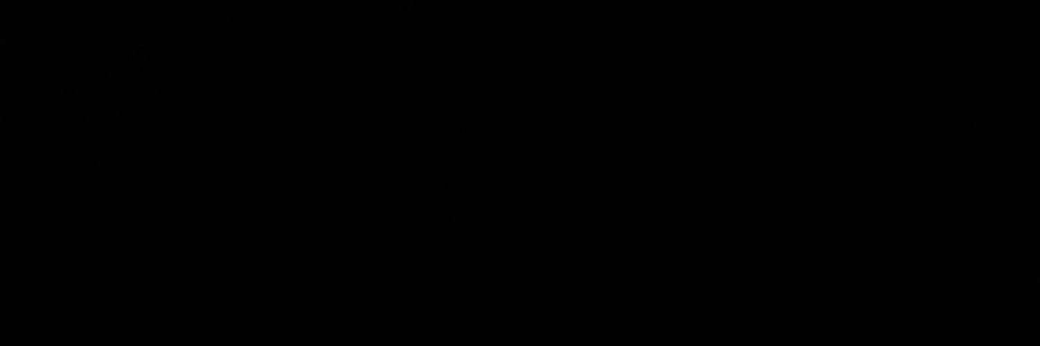 AllanLtc's profile banner image