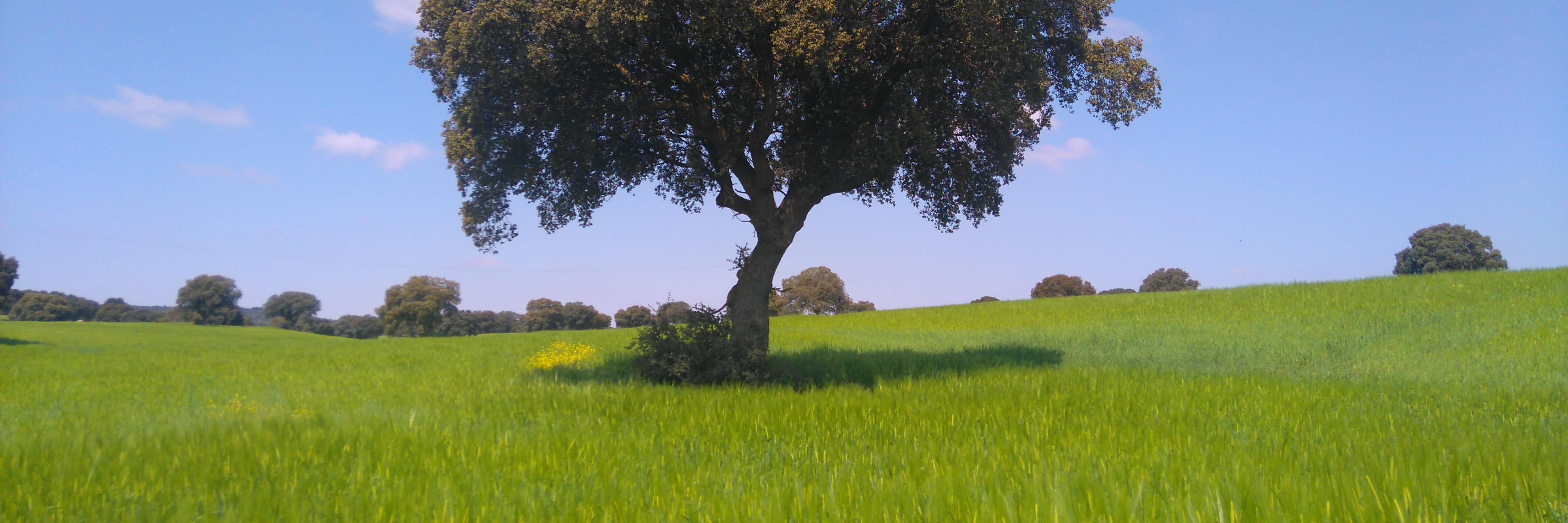 Flor López Asenjo banner