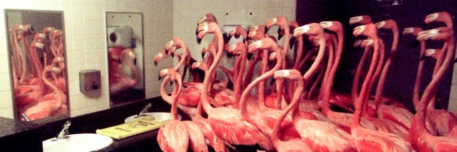 Ale̵̛̻͚̺̜͎̘̐̓̉̓͝͝x All Along • 🏳️‍🌈 banner