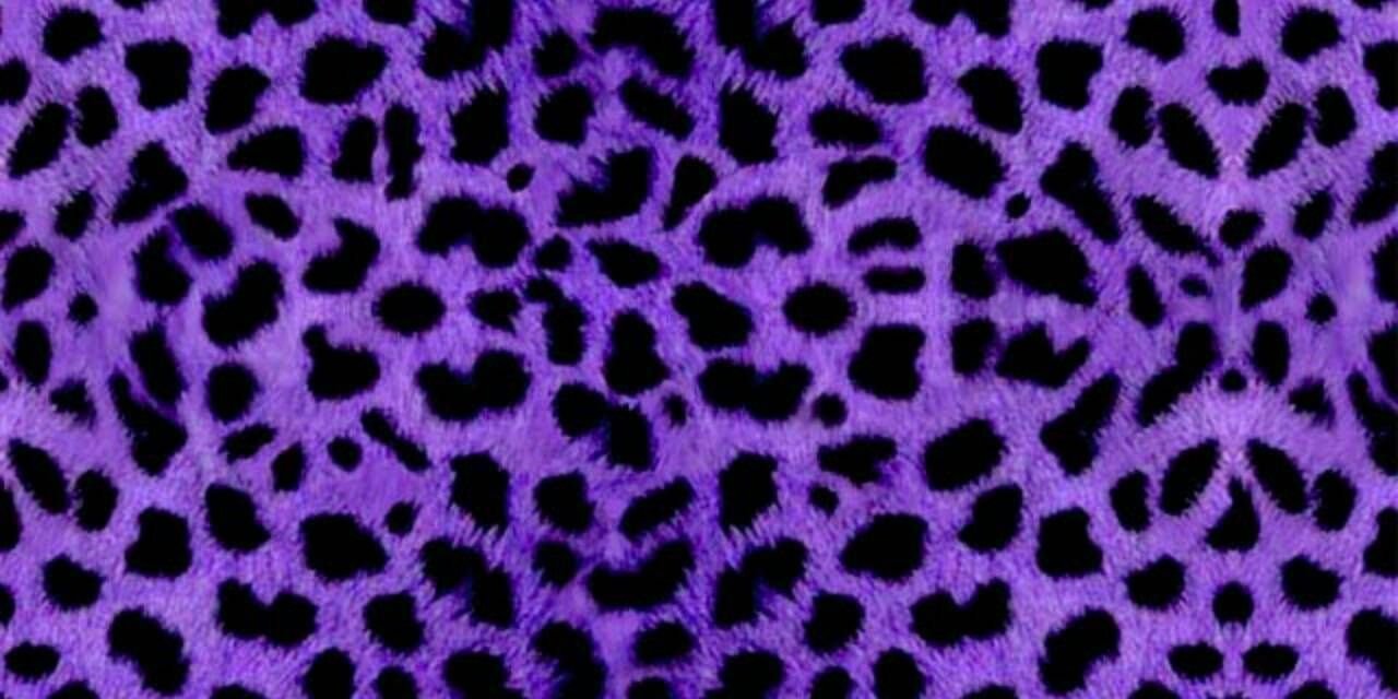 HieraHasan's profile banner image
