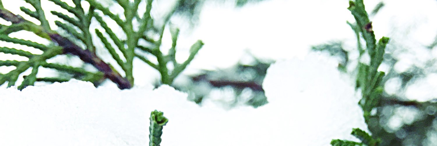 Gabevry's profile banner image