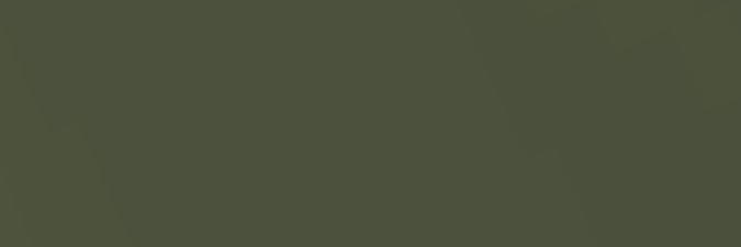 LeniStayman's profile banner image