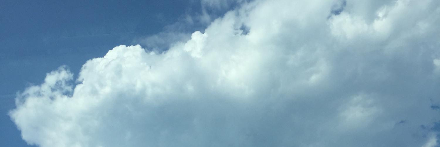 lnhayman's profile banner image