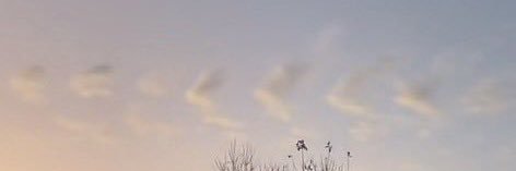 vxnc_'s profile banner image