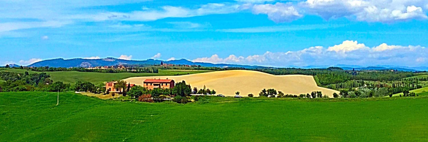 Cameron Bayly banner