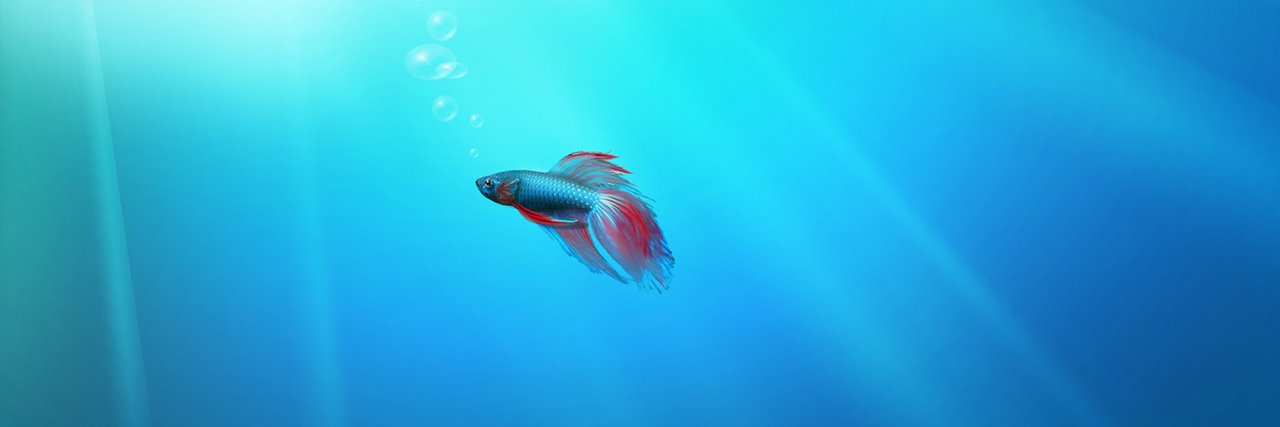 MinePiusX's profile banner image