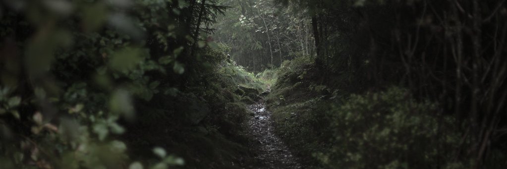 Jodenstein's profile banner image