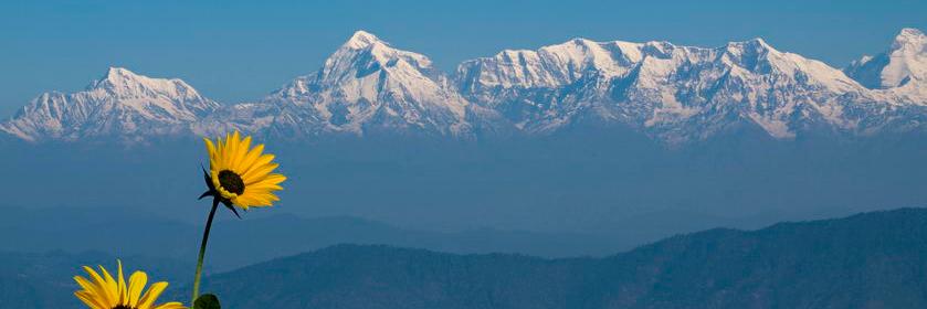 sanand_24's profile banner image