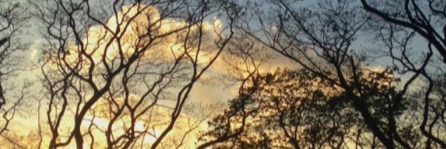 yyensane's profile banner image