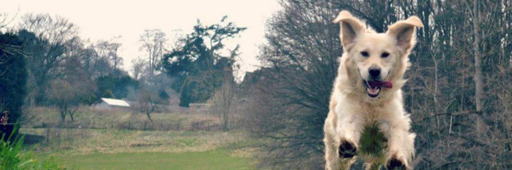 LisaMarshman1's profile banner image