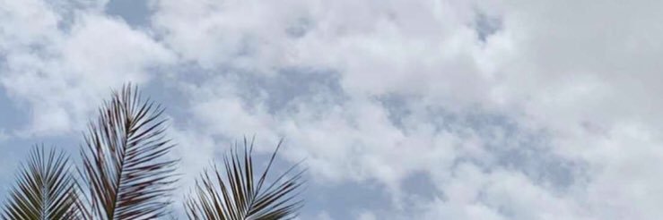 suna911's profile banner image