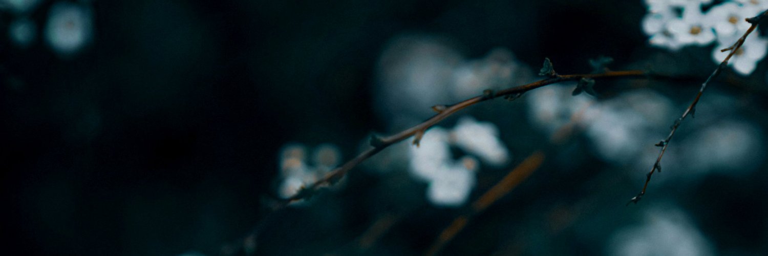 _justinwriter's profile banner image
