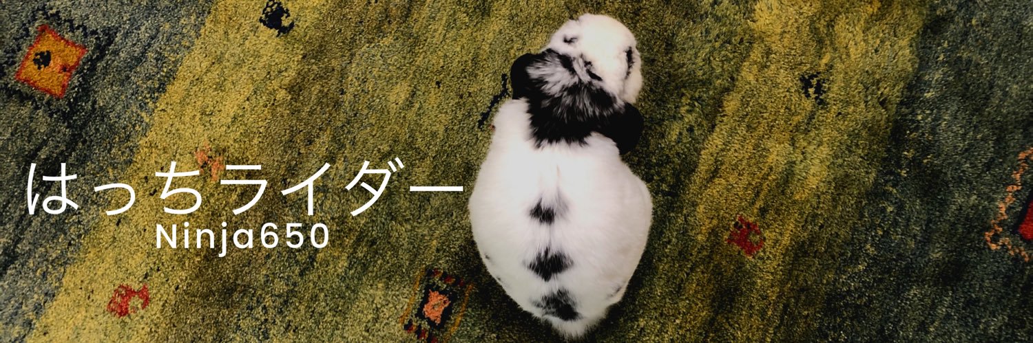 はっちライダーNinja650 banner