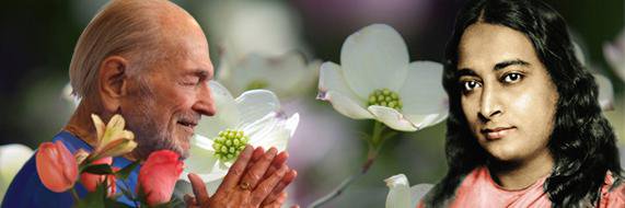 ananda_pune's profile banner image