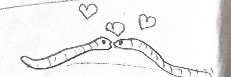 petitpo_'s profile banner image