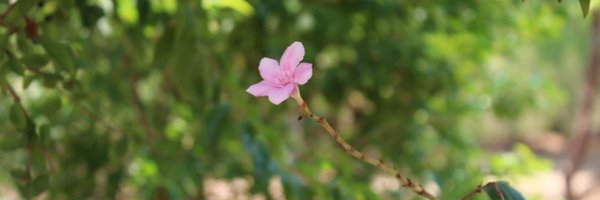 arunananth Profile Banner