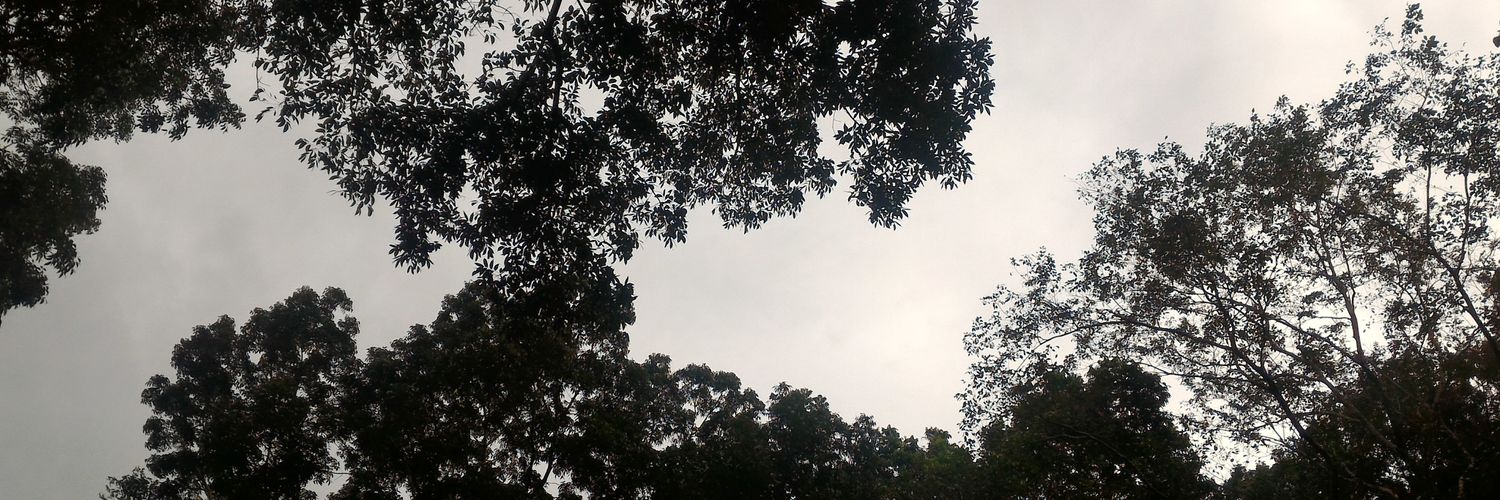 euferbelmonte's profile banner image