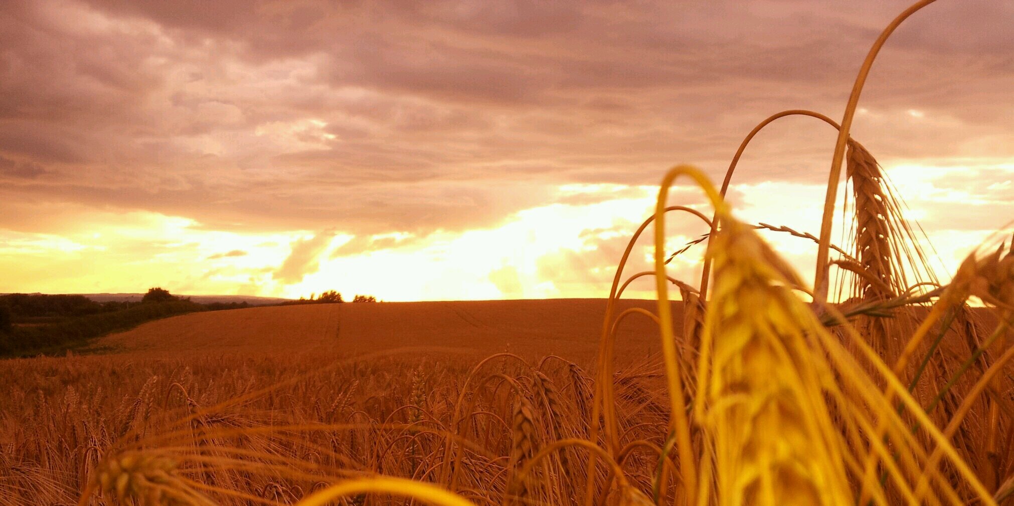 bexupnorth's profile banner image