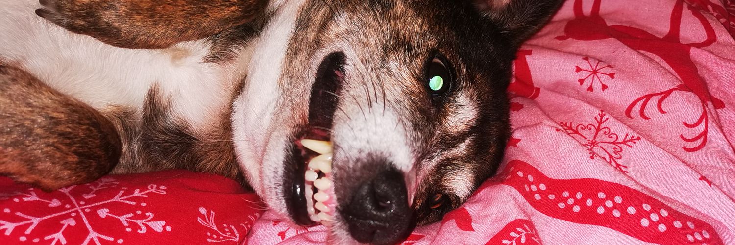 ThatGirlChaz's profile banner image