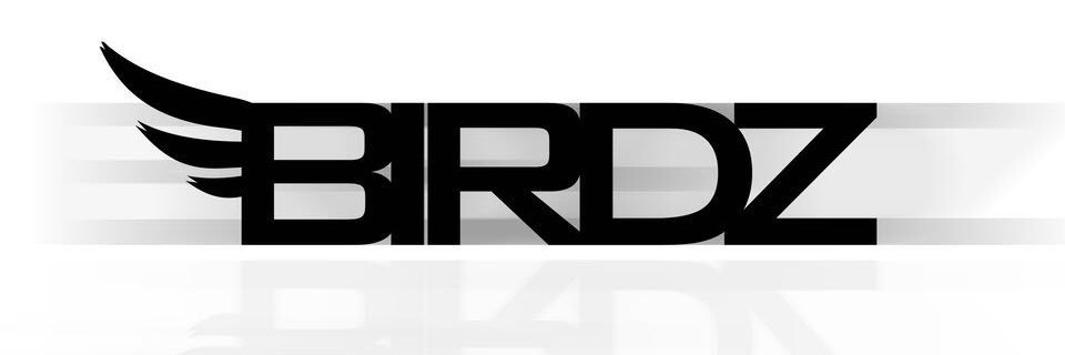 Bigbirdd069's profile banner image