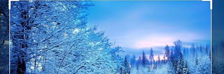 SayedBatool's profile banner image