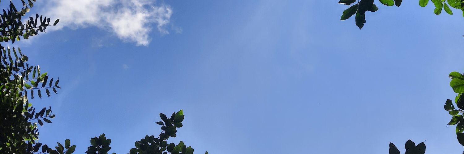 TheAngelEllis's profile banner image