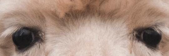 nd_mind's profile banner image